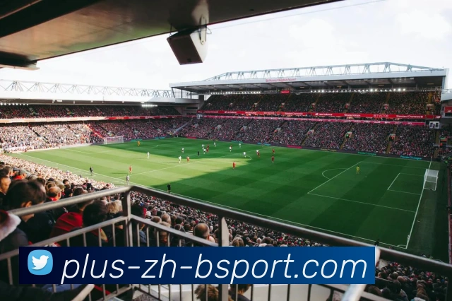 App Interface Preview